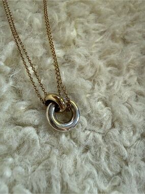 Mejuri Linked Two-tone Necklace